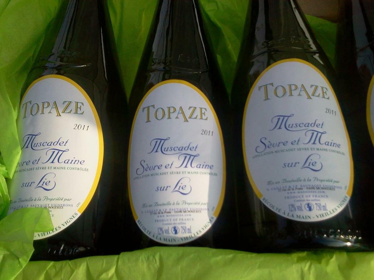 Topaze Sejour Chez Le Vigneron Monnieres  Dış mekan fotoğraf